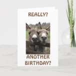 CARTÃO CELEBRATE BIRTHDAY TO GET ATTENTION ASKS MULES?<br><div class="desc">SINCE YOU NEVER LOOK OLDER... YOU MUST CELEBRATE BIRTHDAYS JUST "TO GET ATTENTION" SAYS THIS FUNNY COUPLE OF MULES!</div>