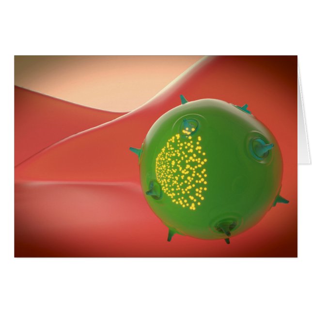 Cartão Célula Assassina Do Sistema Imunitário Inato (Frente Horizontal)