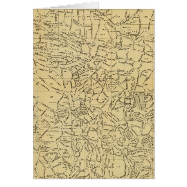 Cartão Cemitério de Madeira Verde (Frente)