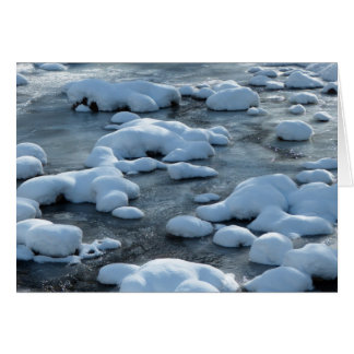 Cartão Cena Árctica