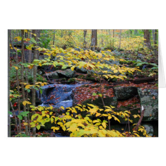 Cartão Cena da floresta do outono