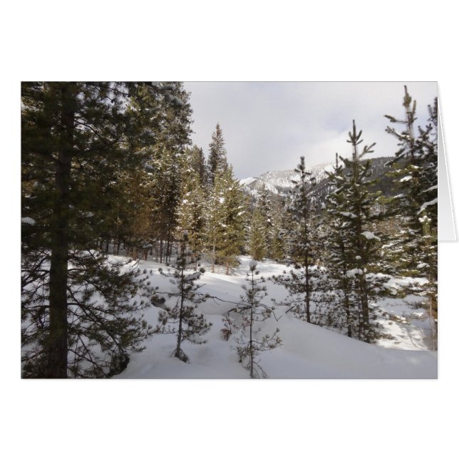 Cartão Cena da Montanha Snowy de inverno em Montana (Frente horizontal)