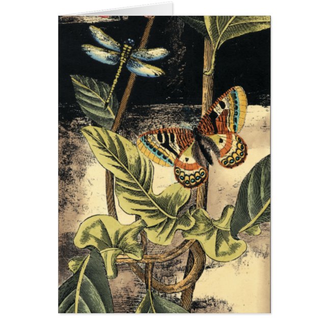 Cartão Cena da Natureza Escura pelo Vision Studio (Frente)