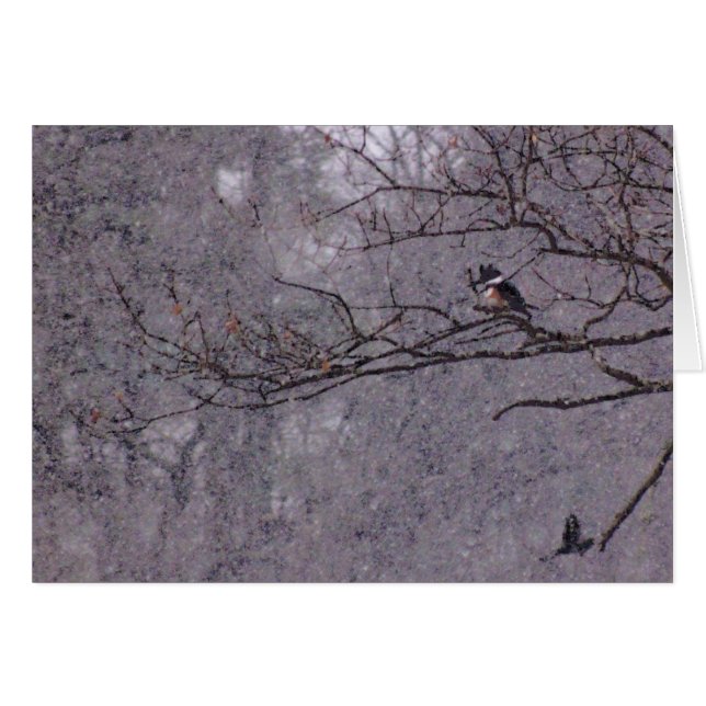 Cartão Cena de Neve (Frente Horizontal)