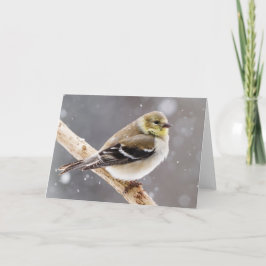 Cartão Cena de Neve de Inverno - Goldfinch Americano