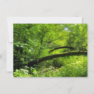 Cartão Cena de Woodland