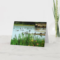 Cena do Lago "Privilege" com Patos Cattails