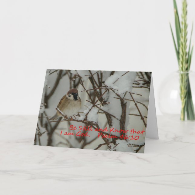 Cartão Cena e Escritura de Neve (Frente)