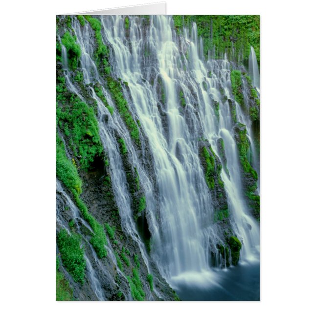 Cartão Cena em cascata, Califórnia (Frente)