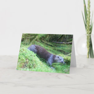 Cartão Cena Natural de Vida Selvagem da Lontra Pacífica à