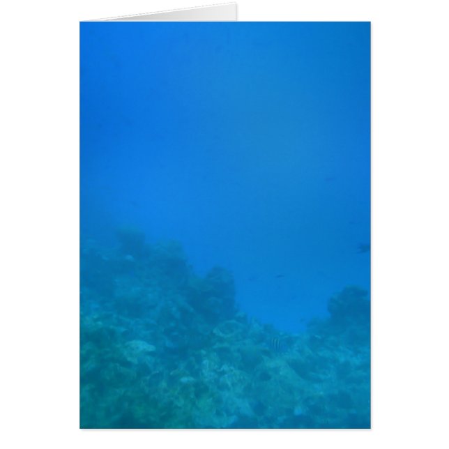 Cartão Cena Submarina (Frente)