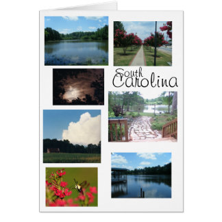 Cartão Cenas da Carolina do Sul