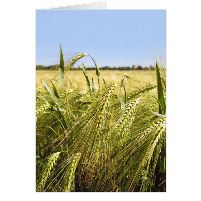 Cartão Centeio (Frente)