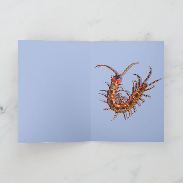 Cartão Centipede  (Interior)