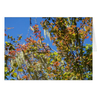 Cartão Central Oregon Fall