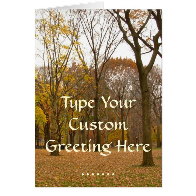 Cartão Central Park New York Souvenir Card (Frente)