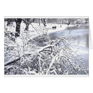 Cartão Central Park Winter Lake