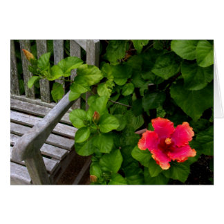 Cartão Centro de Jardim Wegerzyn nº 30