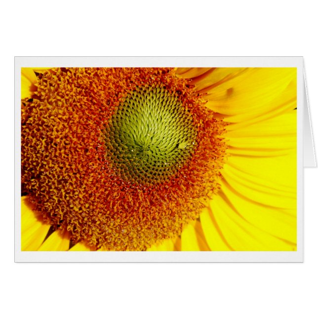 Cartão Centro Sunshine (Frente Horizontal)