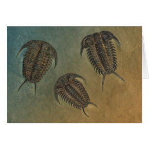 Cartão Ceraurus e Leviceraurus