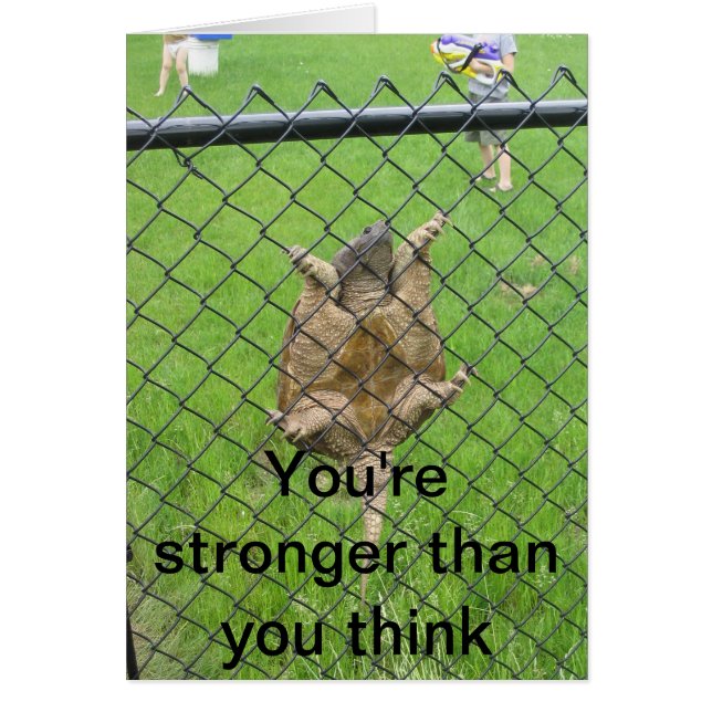 Cartão Cerca de escalada da tartaruga (Frente)