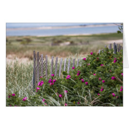 Cartão Cerca de Praia Chatam Light