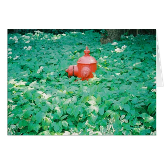 Cartão Cercado (Frente Horizontal)