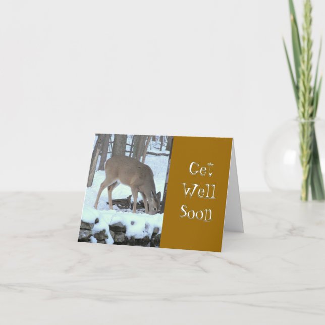 CARTÃO CERVEJA NA NEVE WOODS ÁGUA BEBENDO DO FLUXO (Frente)