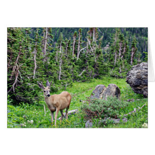 Cartão Cervos
