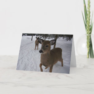 Cartão cervos amigáveis