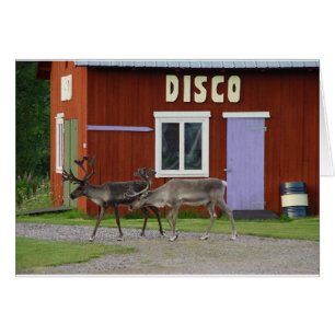 CARTÃO CERVOS DO DISCO