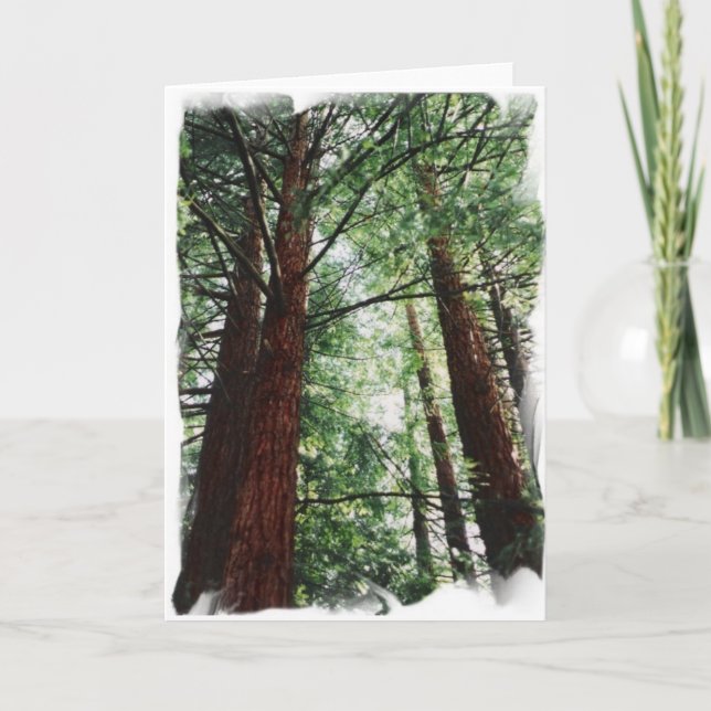 Cartão Céu da sequóia vermelha (Frente)