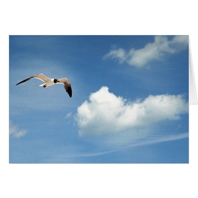 Cartão Céu do verão (Frente Horizontal)