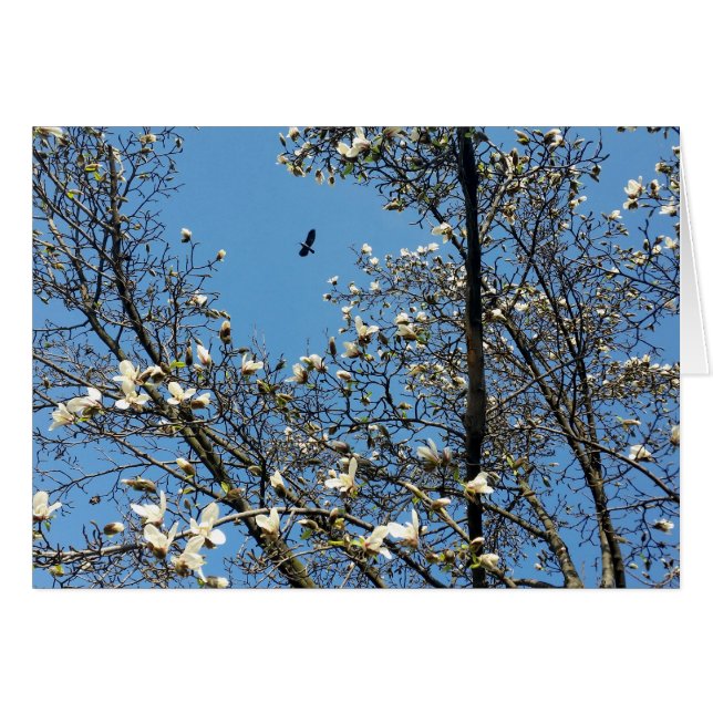 Cartão céu em primavera (Frente Horizontal)