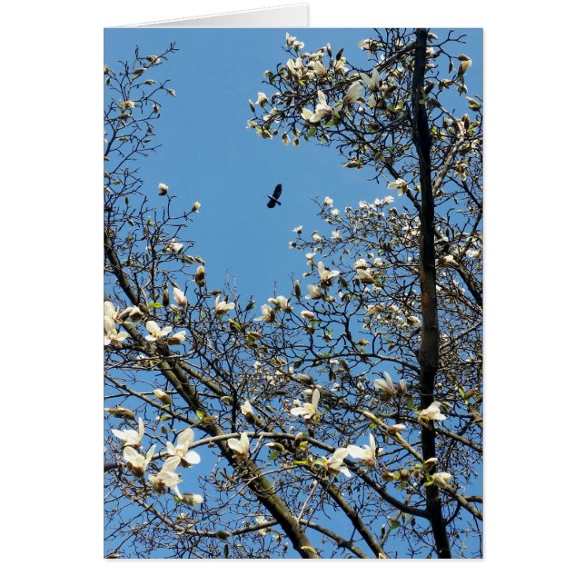 Cartão céu em primavera (Frente)