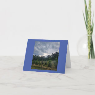 Cartão Céu temperado e pinheiros