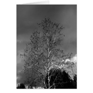 Cartão Céus tormentosos