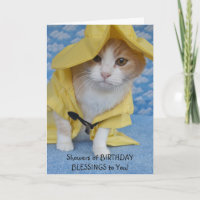 Chá bonito customizável do gato do aniversário das