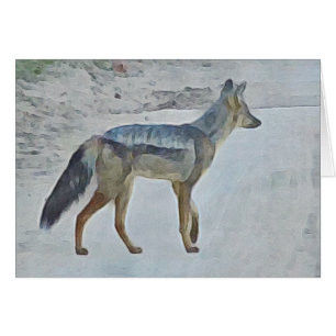 Cartão Chacal