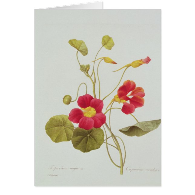 Cartão Chagas (Frente)