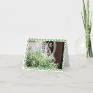 Cartão Chair & Lace blank notecard & envelope lk