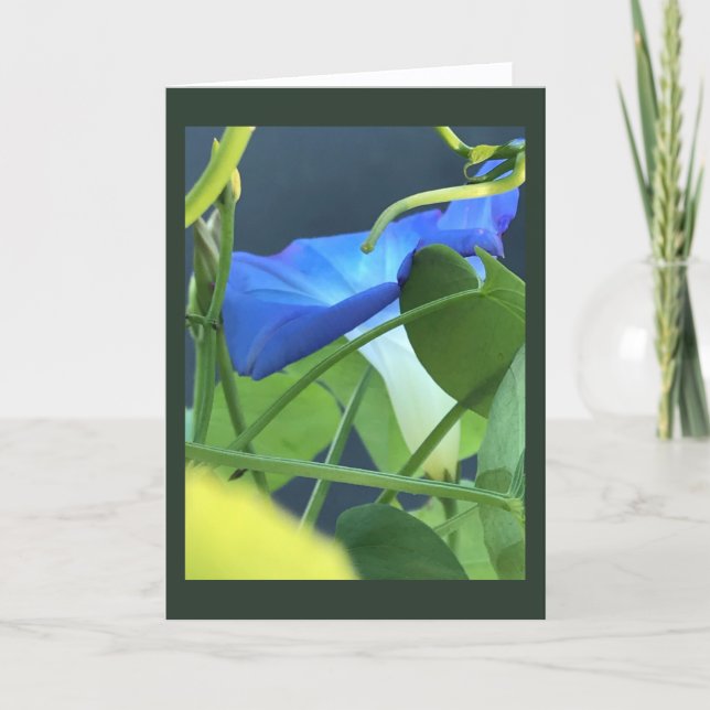 Cartão Chalice-of-Blue Morning Glory Blank  (Frente)