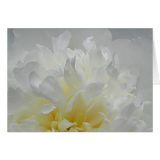 Cartão Chamas da peônia