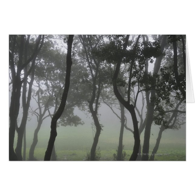 Cartão Chao dos Louros, Madeira, Portugal (Frente Horizontal)