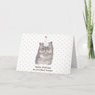 Cartão Chapéu de celebração de festa Gato Persa Aniversár