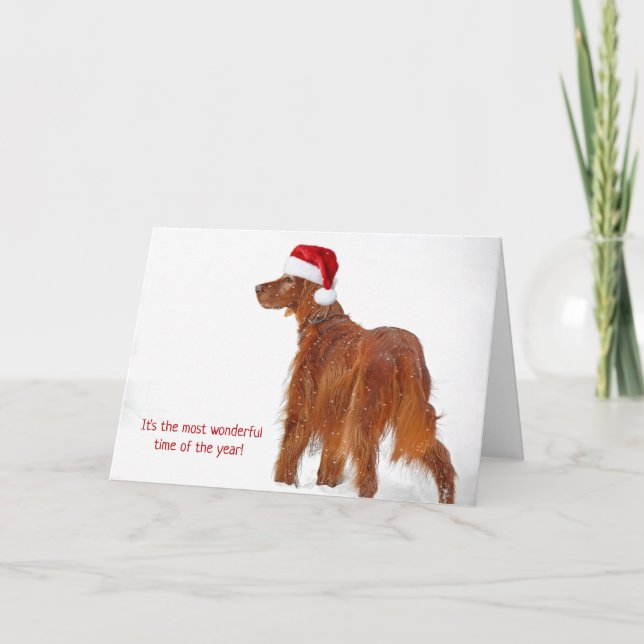 Cartão Chapéu de Natal em Irish Setter em flocos de neve (Frente)