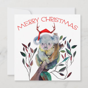 Cartão Chapéu de Papai Noel de Coala de Natal Australiano