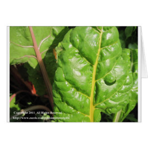 Cartão Chards suíços