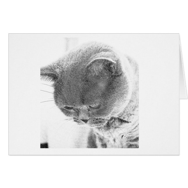 Cartão Charlie: Esboço da foto de um gato azul britânico (Frente Horizontal)