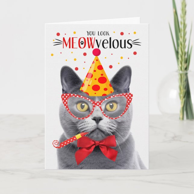 Cartão Chartreux Cinza Cat MEOWvelous Aniversário (Frente)